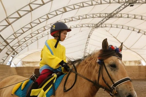 Paardenarena