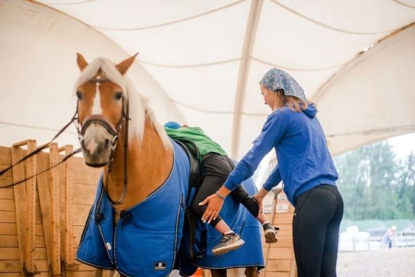 Paardenarena