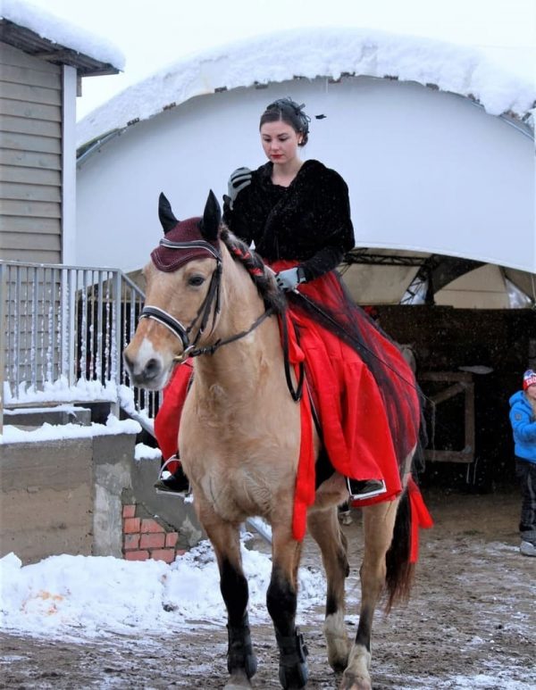 Paardenarena